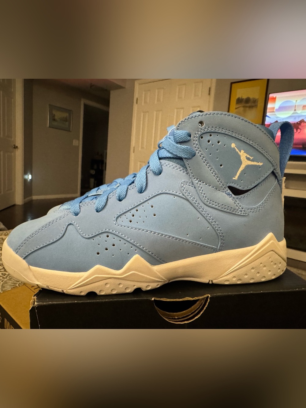 Jordan 7 Retro Pantone (GS)